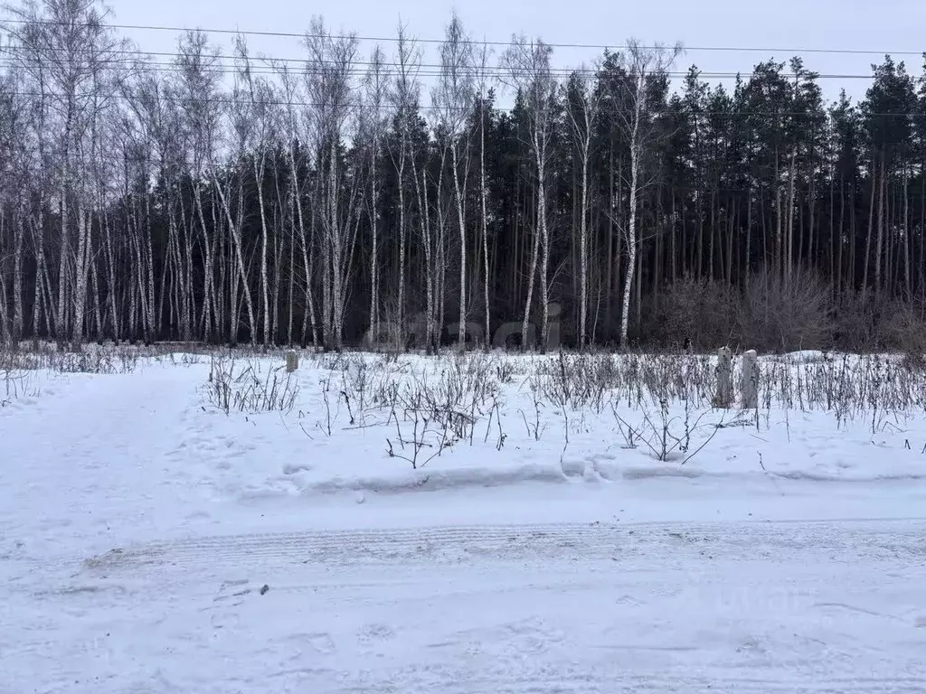Участок в Воронежская область, Рамонский район, Березовское с/пос, д. ... - Фото 1
