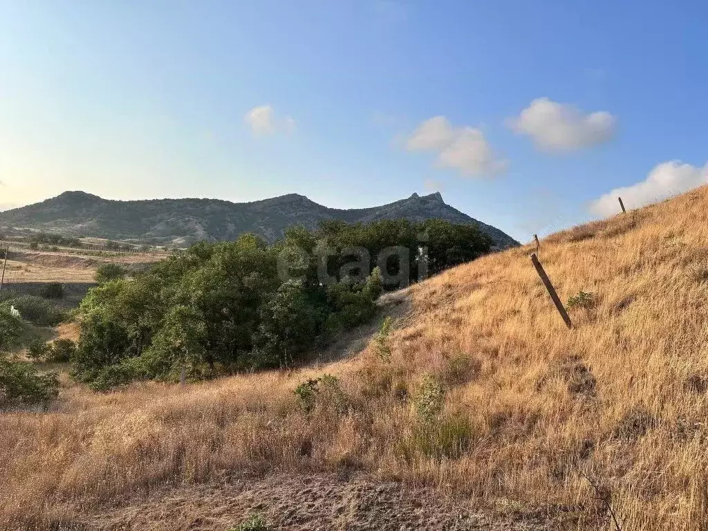 Участок в Крым, Феодосия муниципальный округ, Курортное пгт ул. Науки ... - Фото 1