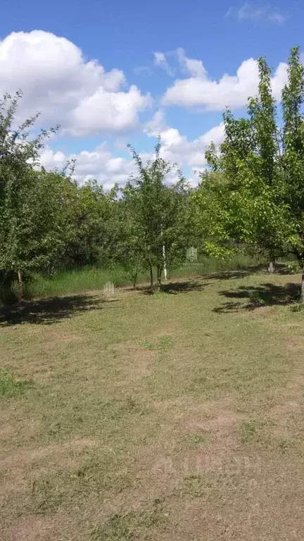 Дом в Ростовская область, Неклиновский район, Синявское с/пос, ... - Фото 1