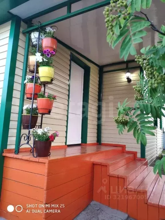 Дом в Амурская область, Благовещенский район, с. Чигири Степная ул., 2 ... - Фото 1