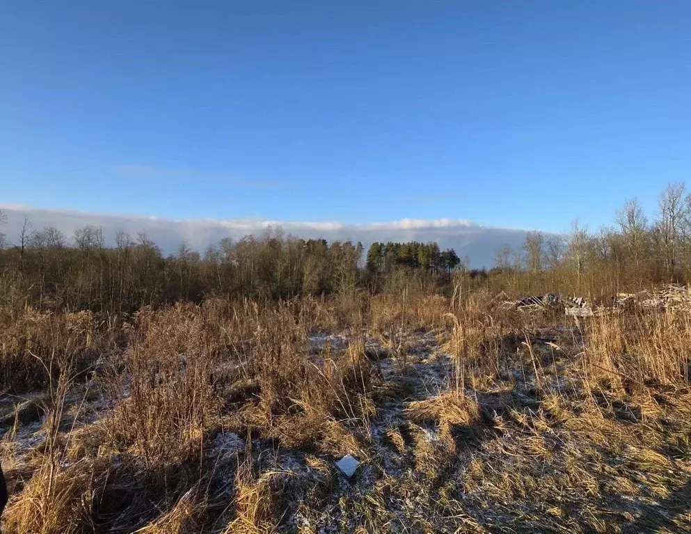 Дом в Ленинградская область, Кингисеппский район, Большелуцкое с/пос, ... - Фото 2