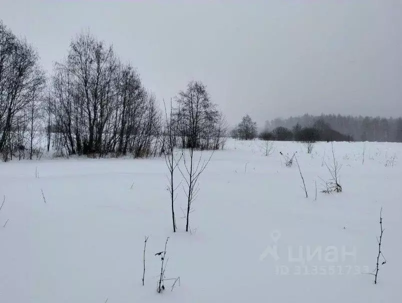 Участок в Московская область, Шаховская муниципальный округ, с. Белая ... - Фото 0