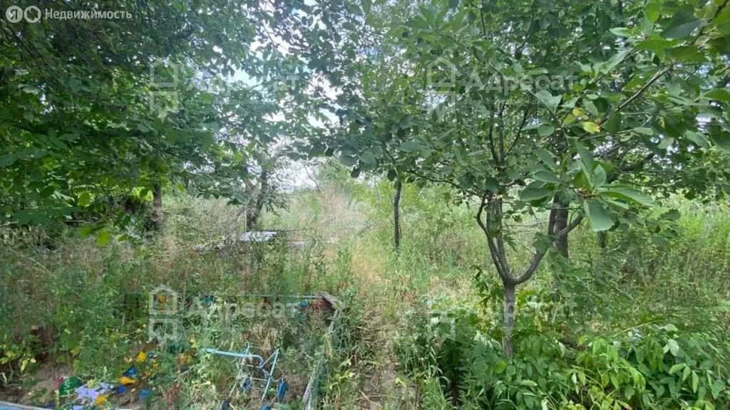 Участок в Волгоград, СНТ Транспортник (5.45 м) - Фото 1