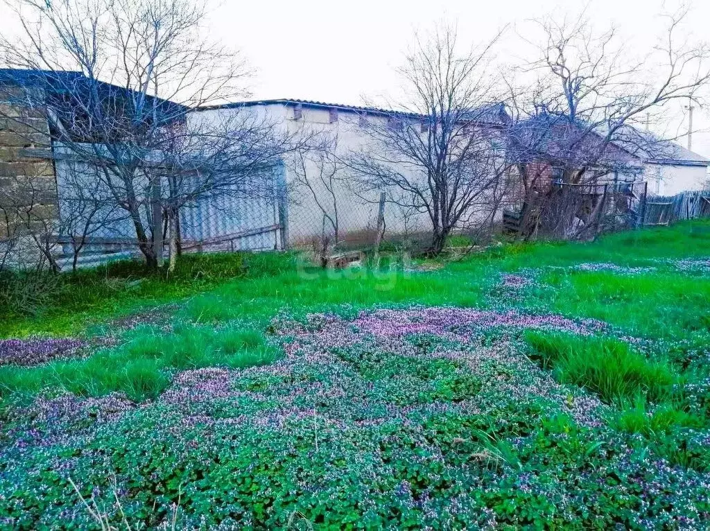 Участок в Береговое, Курская улица, 61 (8.5 м) - Фото 2