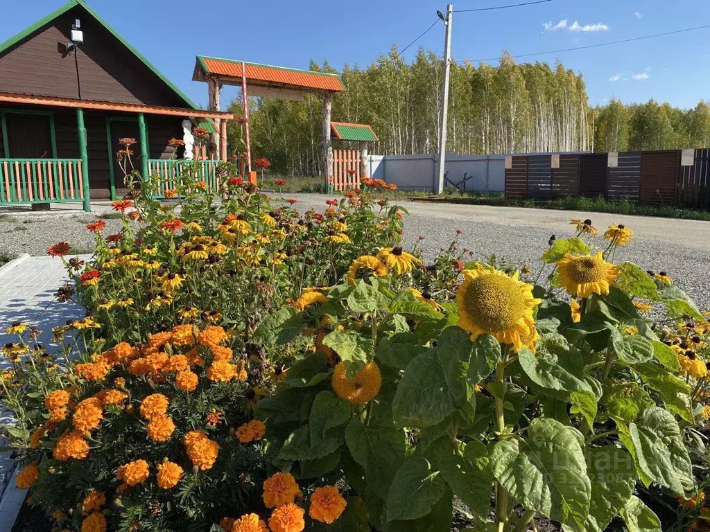 Участок в Челябинская область, Снежинск ул. Свердлова (7.0 сот.) - Фото 1