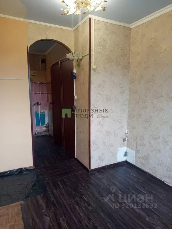 Студия Красноярский край, Красноярск ул. Толстого, 45 (14.0 м) - Фото 1