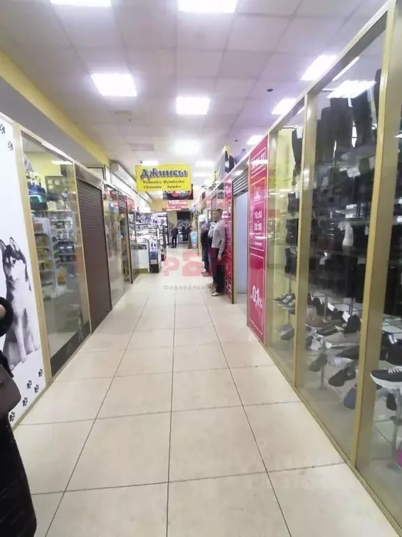 Торговая площадь в Омская область, Омск Заозерный мкр, ул. Бархатовой, ... - Фото 2