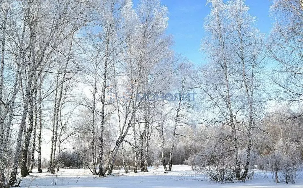 Участок в деревня Сартаково, Центральная улица, 100 (15.7 м) - Фото 1