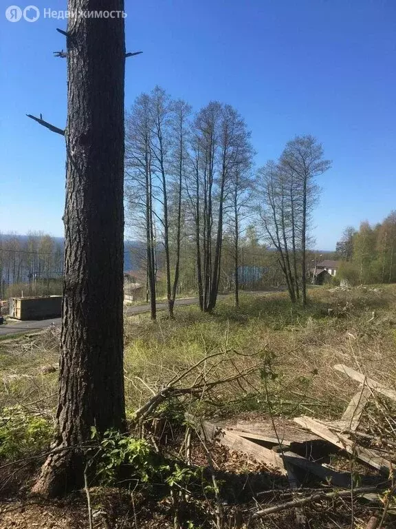 Участок в Выборгский район, Полянское сельское поселение, посёлок ... - Фото 2