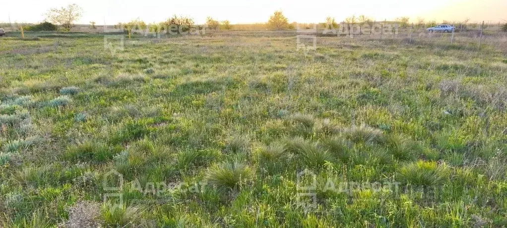 Участок в Волгоградская область, Волгоград ул. Плетеная (6.76 сот.) - Фото 0