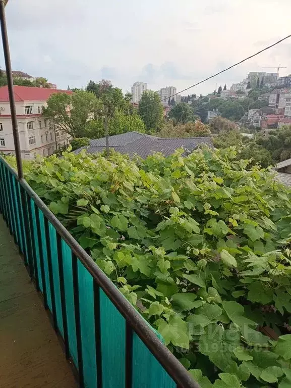 Комната Краснодарский край, Сочи Светлана мкр, ул. Лысая Гора, 2 - Фото 1