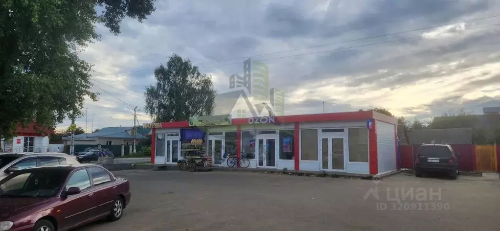 Торговая площадь в Московская область, Раменский муниципальный округ, ... - Фото 1