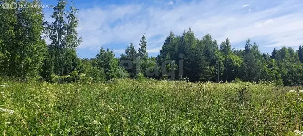 Участок в Вологодский муниципальный округ, посёлок Сосновка (9 м) - Фото 0