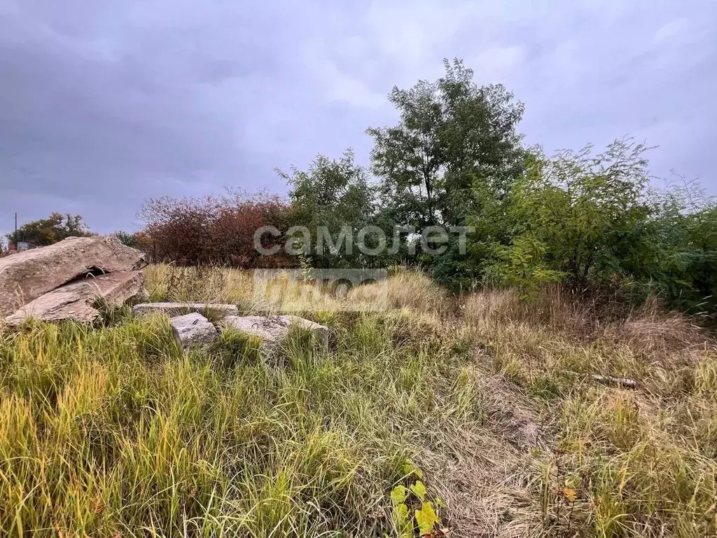 Участок в Курская область, Курский район, Пашковский сельсовет, Биолог ... - Фото 1