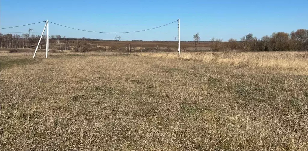 Участок в Московская область, Кашира городской округ, д. Никулино  ... - Фото 0