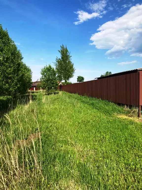 Участок в Владимирская область, Кольчугинский район, Раздольевское ... - Фото 0