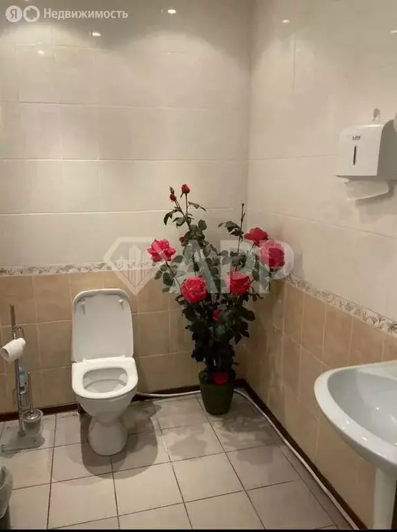 Помещение свободного назначения (176 м) - Фото 1