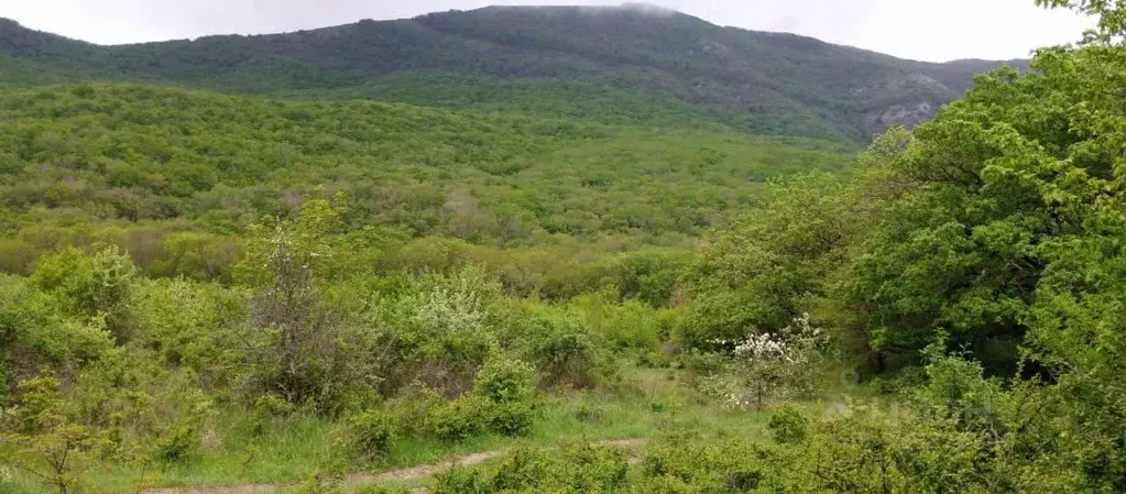 Участок в Крым, Судак муниципальный округ, с. Дачное ул. Десантная ... - Фото 2