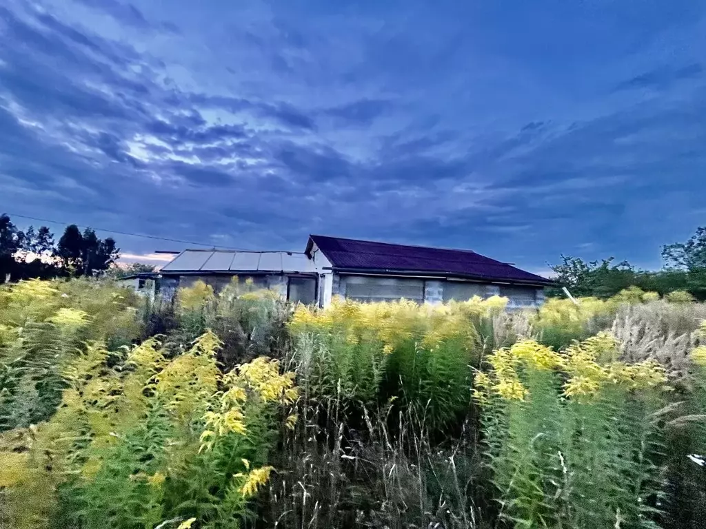 Участок в Нижегородская область, Дальнеконстантиновский муниципальный ... - Фото 1