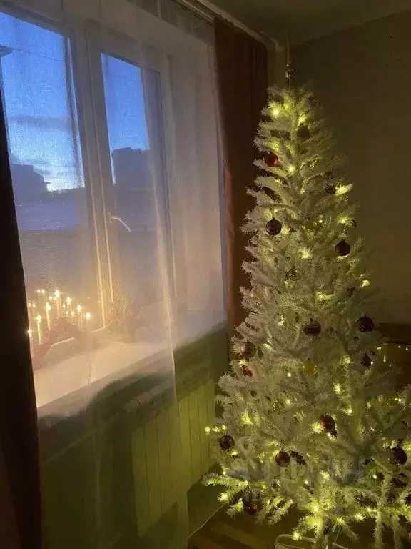 2-к кв. Ленинградская область, Выборг Северная ул., 8 (54.0 м) - Фото 1