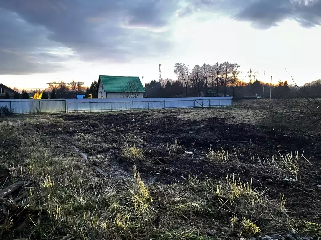 Участок в Московская область, Чехов муниципальный округ, д. Сенино  ... - Фото 2