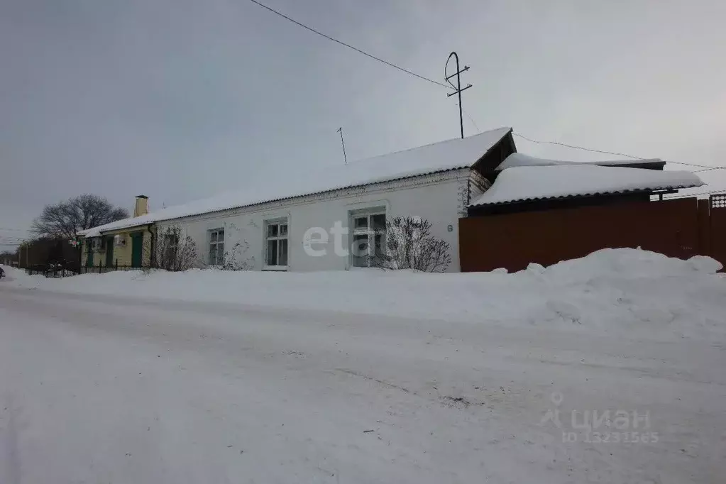 Дом в Челябинская область, Троицкий район, с. Карсы Кооперативный пер. ... - Фото 1