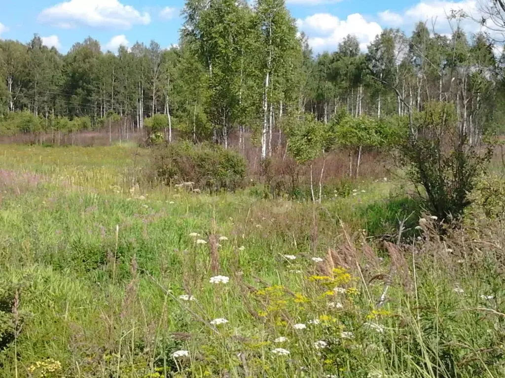 Участок в Калужская область, Спас-Деменский район, Павлиново с/пос, д. ... - Фото 2