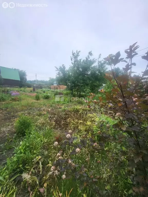 Участок в Совхозный сельсовет, СНП Авиценна, Академическая улица, 2 ... - Фото 1