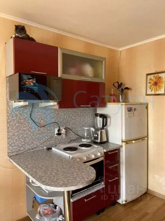 Комната Курганская область, Курган ул. Тельмана, 12 (18.8 м) - Фото 1