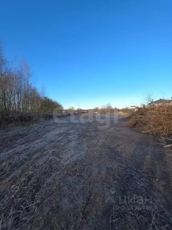 Участок в Калужская область, Калуга городской округ, д. Тинино  (22.0 ... - Фото 2