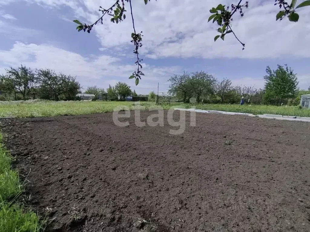 Участок в Брянская область, Брянск Надежда садоводческое товарищество, ... - Фото 0