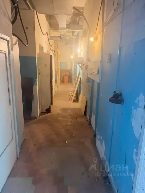 Помещение свободного назначения в Московская область, Подольск ... - Фото 2