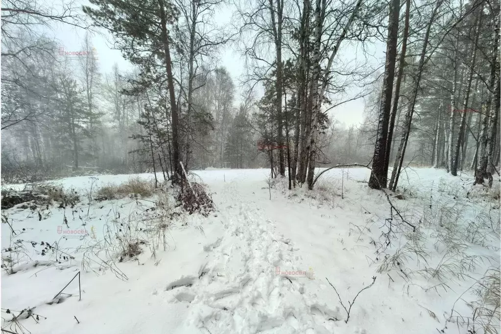 Участок в Свердловская область, Полевской городской округ, с. ... - Фото 1