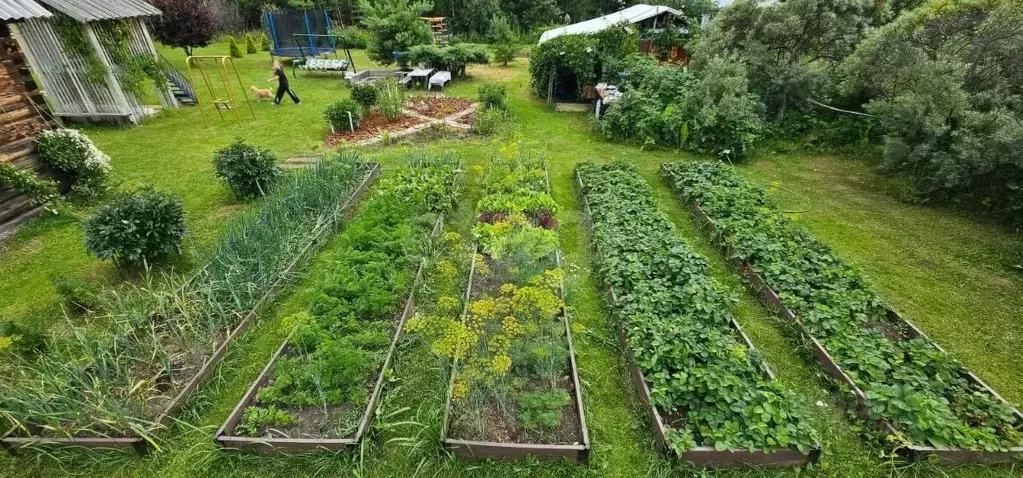 Дом в Свердловская область, Белоярский муниципальный округ, Родник СНТ ... - Фото 1