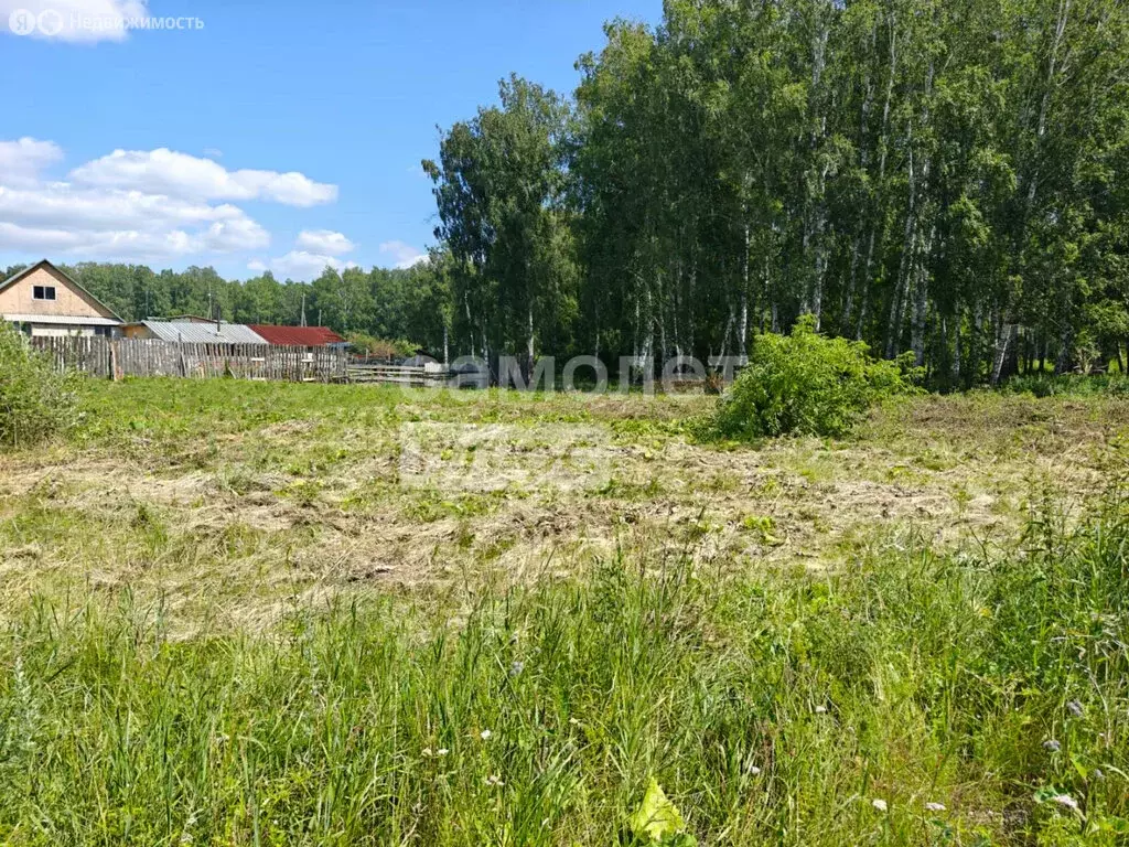 Участок в Челябинская область, Сосновский муниципальный округ, деревня ... - Фото 1