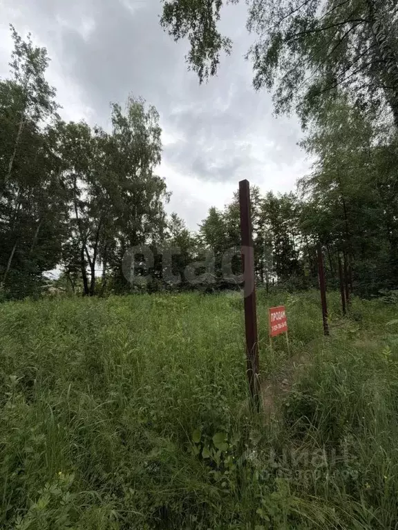 Участок в Московская область, Домодедово КП Данилово Парк тер., 97 ... - Фото 2