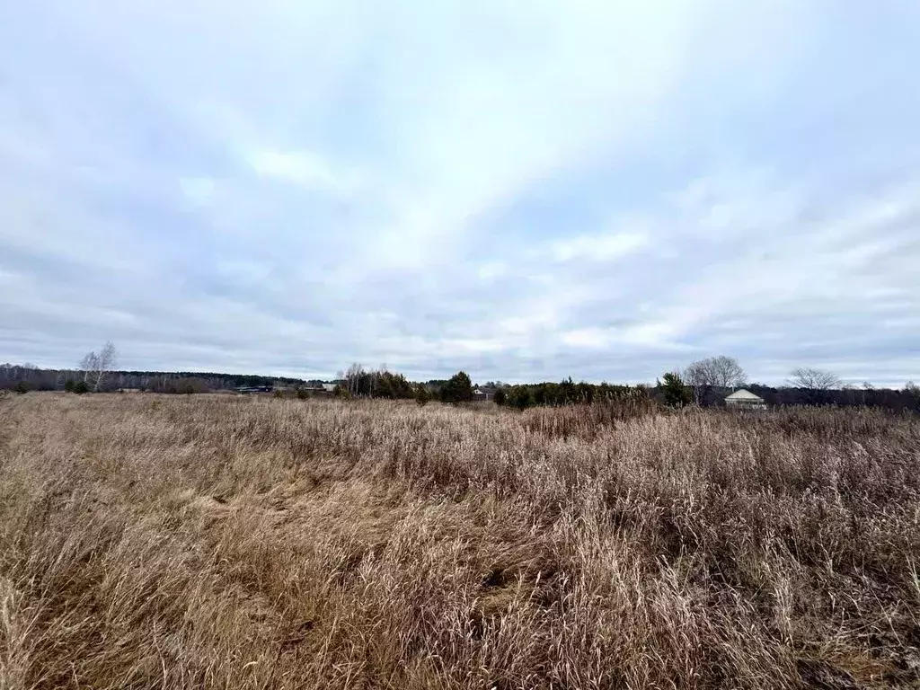 Участок в Свердловская область, Талицкий муниципальный округ, пос. ... - Фото 1