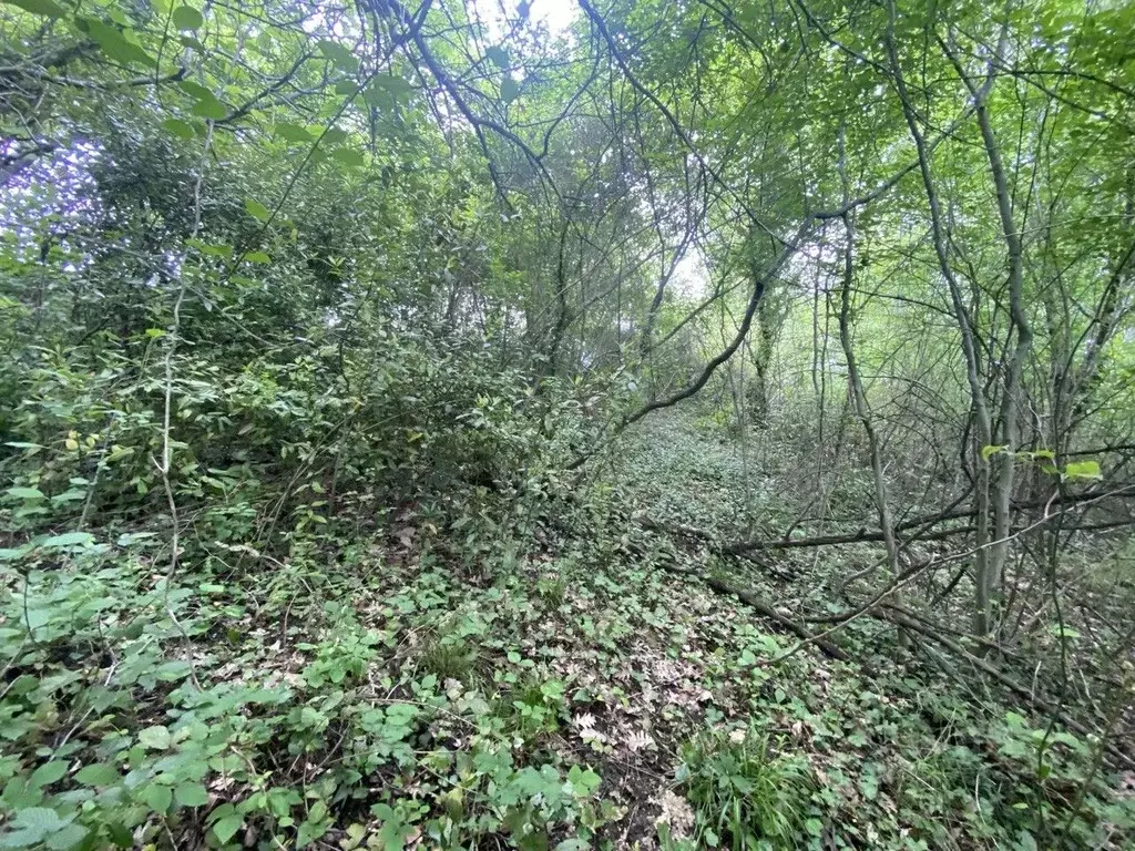 Участок в Краснодарский край, Сочи Королек садовое товарищество, 100 ... - Фото 1