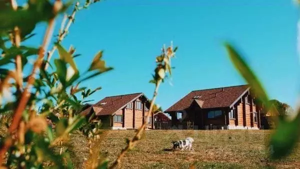 Дом в Тверская область, Калязинский муниципальный округ, д. Панкратово ... - Фото 1