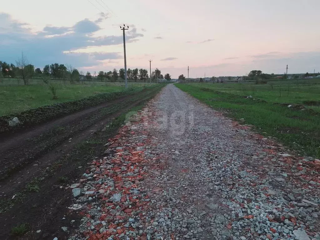 Участок в Саратовская область, Балашовский район, Хоперское ... - Фото 1