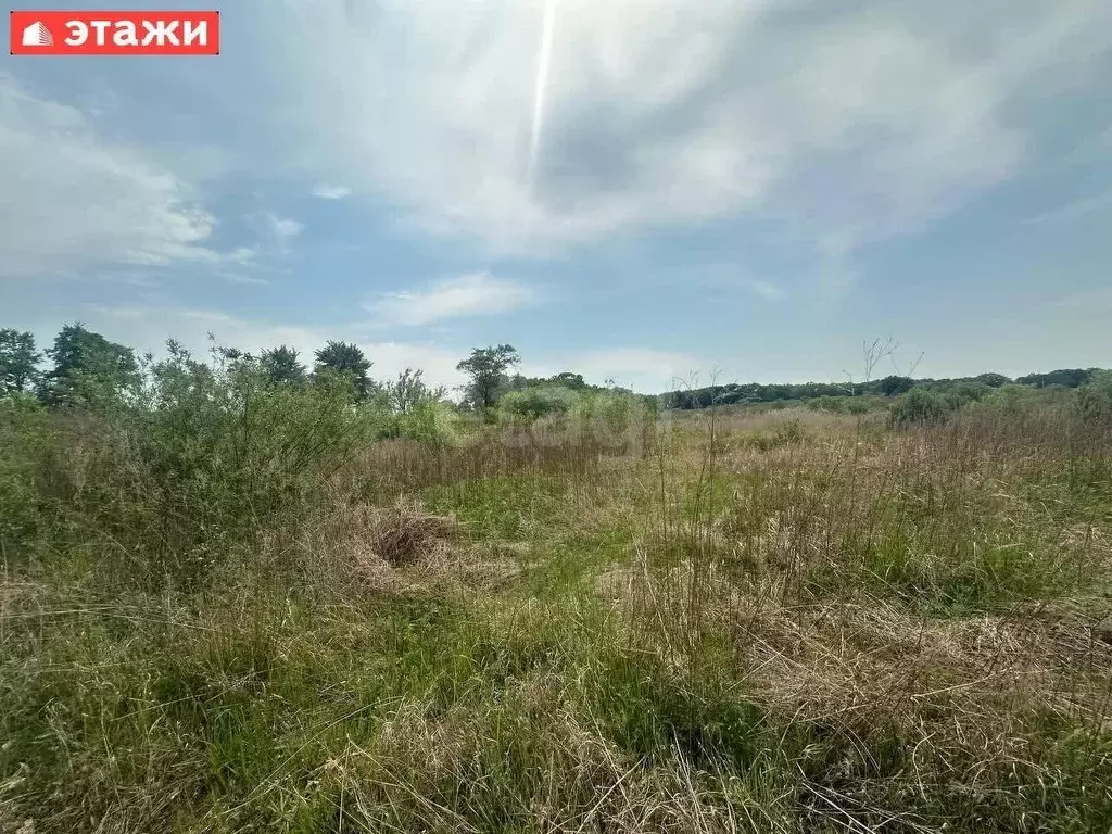 Участок, 12 сот., поселения (ижс) - Фото 1