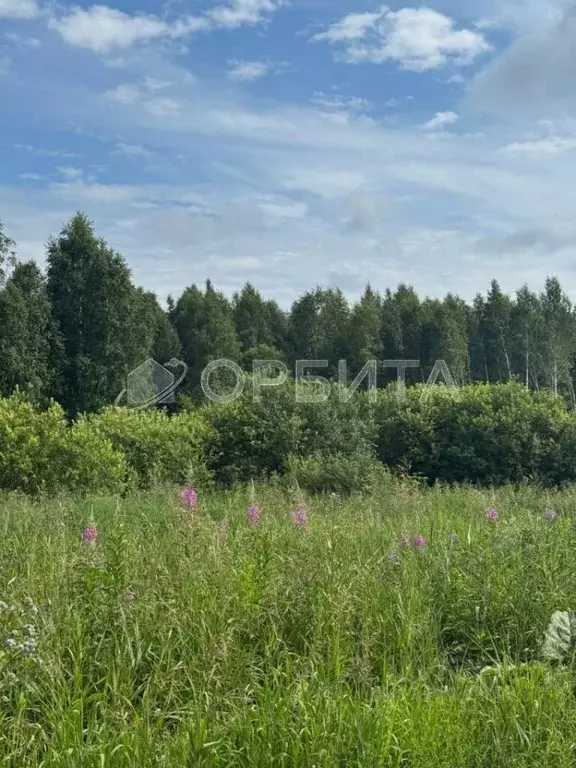 Участок в Тюменская область, Тюменский район, пос. Новотарманский  ... - Фото 0