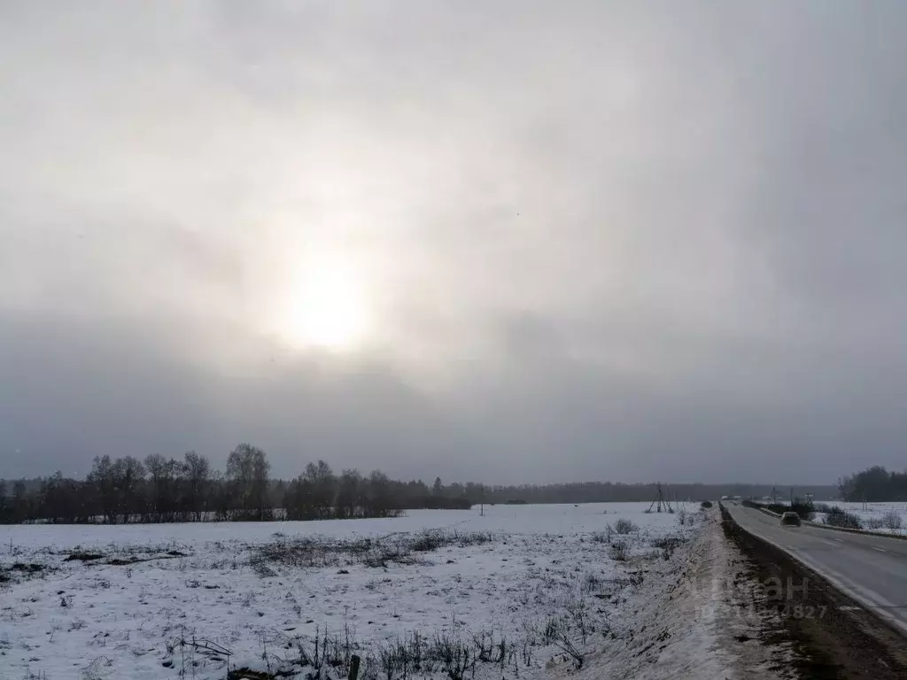 Участок в Московская область, Шаховская городской округ, с. Белая ... - Фото 0