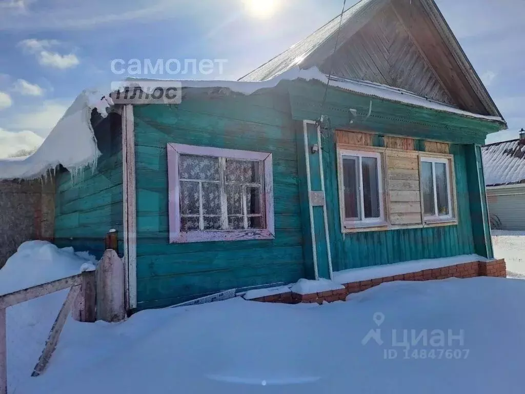 Дом в Нижегородская область, Первомайск городской округ, с. Большой ... - Фото 0