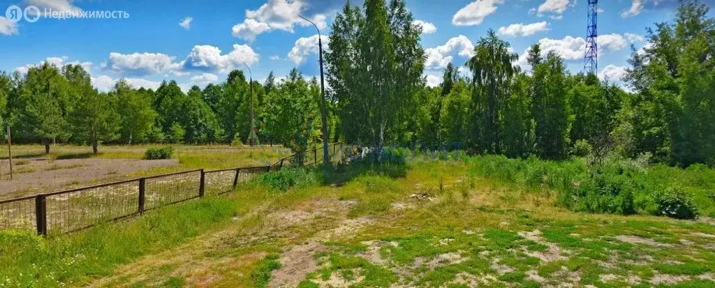 Участок в Нижегородская область, Балахнинский муниципальный округ, ... - Фото 2