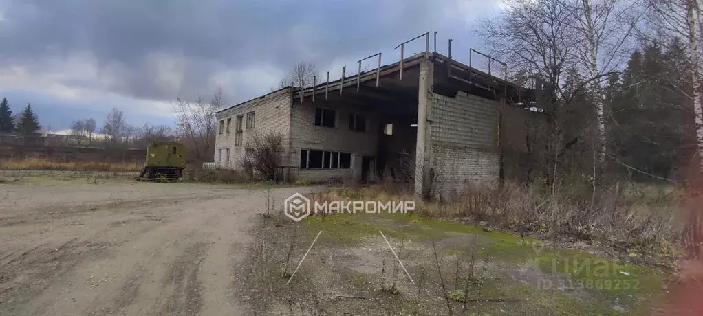 Производственное помещение в Брянская область, Дубровка рп ул. Победы, ... - Фото 1