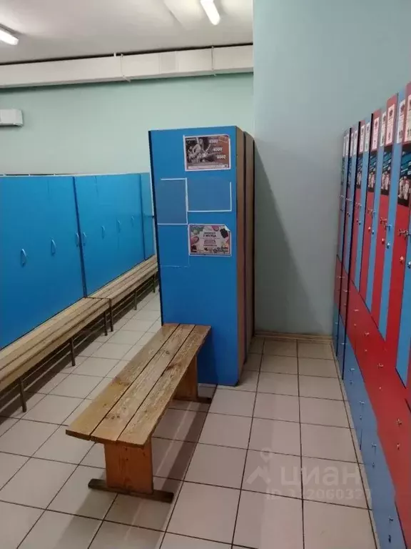 Помещение свободного назначения в Брянская область, Брянский район, ... - Фото 0