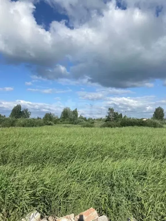 Участок в Тюменская область, Тюмень Поле Чудес садовое товарищество, ... - Фото 1