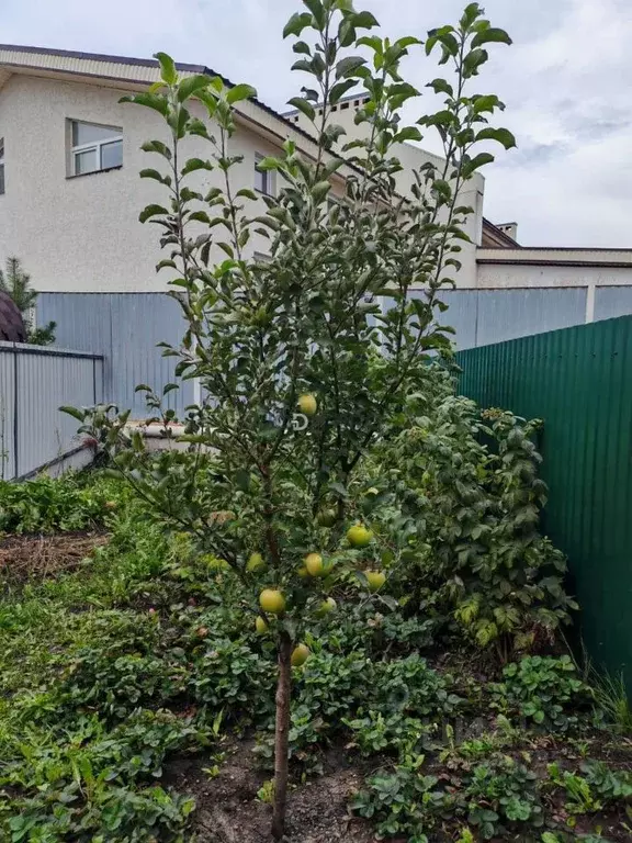 2-к кв. Башкортостан, Уфимский район, с. Булгаково бул. Габдрахмана ... - Фото 2