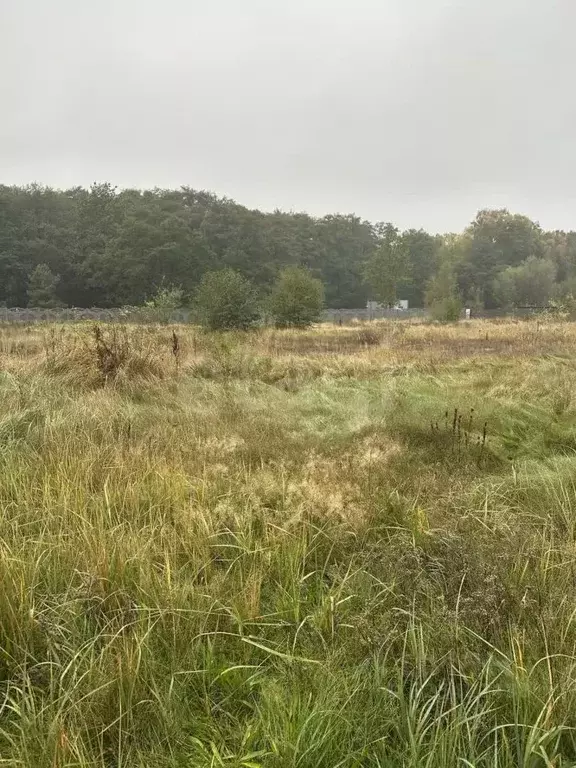 Участок в Калининградская область, Балтийск пос. Мечниково,  (54.0 ... - Фото 1